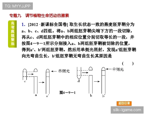 角旗规则有哪些细节易被忽视？权威解读全流程判定